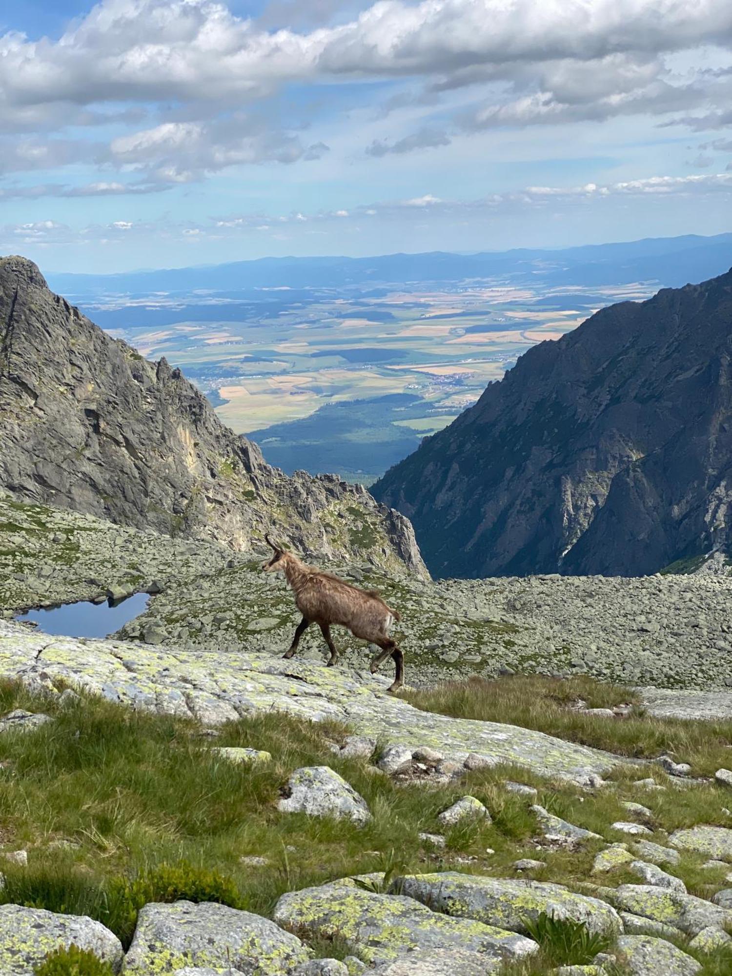 Pension Tatrasport Zampa Vysoké Tatry Dış mekan fotoğraf